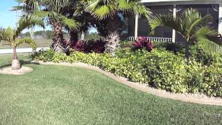 Low Maintenance Tropical Landscaping