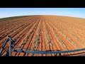 Harvesting mile long rows