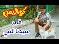 كواليس قمر سيدنا النبي مؤمن الجناني طيور الجنة كواليس قمر سيدنا النبي مؤمن الجناني طيور الجنة