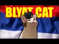 Russian pop cat