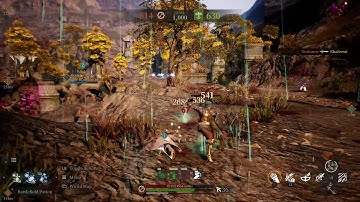 Bless Unleashed Battlefield 15v15. Double ranger trouble. PvP. video 2 of 2