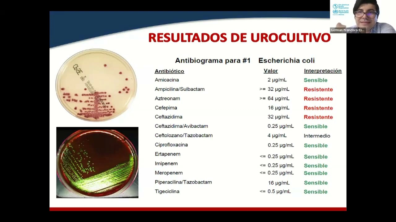 "Mecanismos de resistencia en bacterias Gram-negativas" Dr. Germán  Esparza