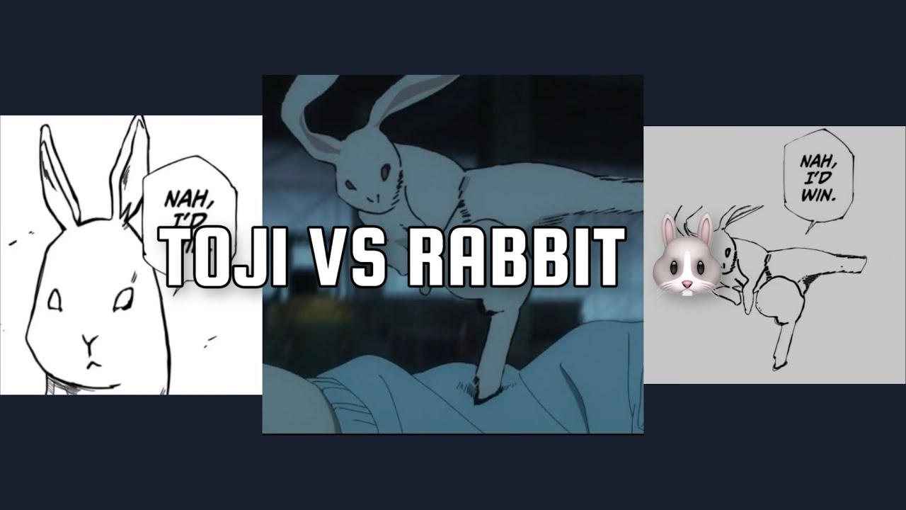 Toji VS Rabbit Edit 🐰🐇🔥🗣️ YouTube
