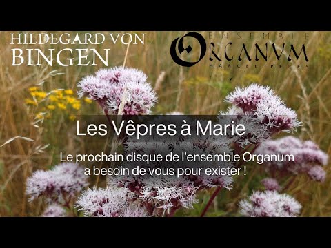 Hildegard de Bingen "Les Vêpres à Marie" - Crowdfunding [Ensemble Organum]