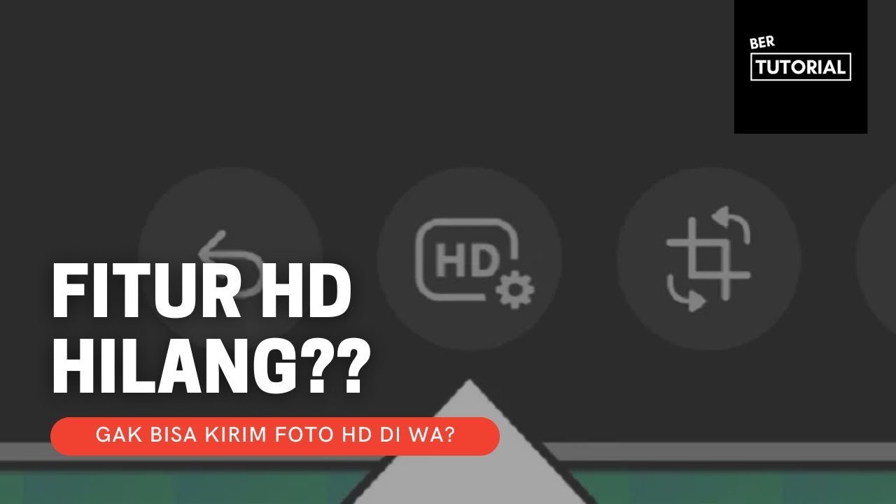Penyebab opsi HD tidak muncul saat kirim foto di WhatsApp