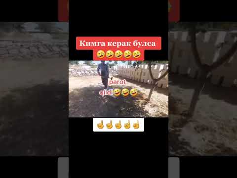 PAROT QILDIYU 😂😂😀😀