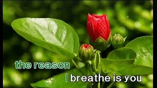 Arirang Karaoke Ar-3600Hi-N - 43670 - Baby One More Time