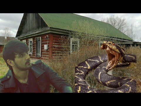 Туйимдан икки ой