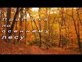 Прогулка по лесу. Осень 2020. Горячий Ключ | Walk in the woods, sounds nature