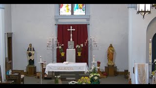 Sunday Morning Mass - November 9, 2025 - St. Joseph C.