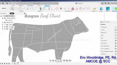 0133Z – The Additive Guru, using Fusion 360 tutorial of tracing an image for CNC cutting.