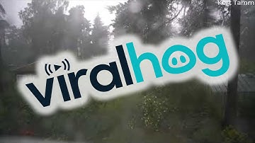 Flash of Lightning Strikes in Backyard on Rainy Day || ViralHog