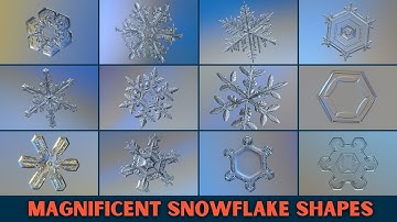 Snowflakes: Nature