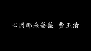 心园那朵蔷薇 费玉清 (歌词版)