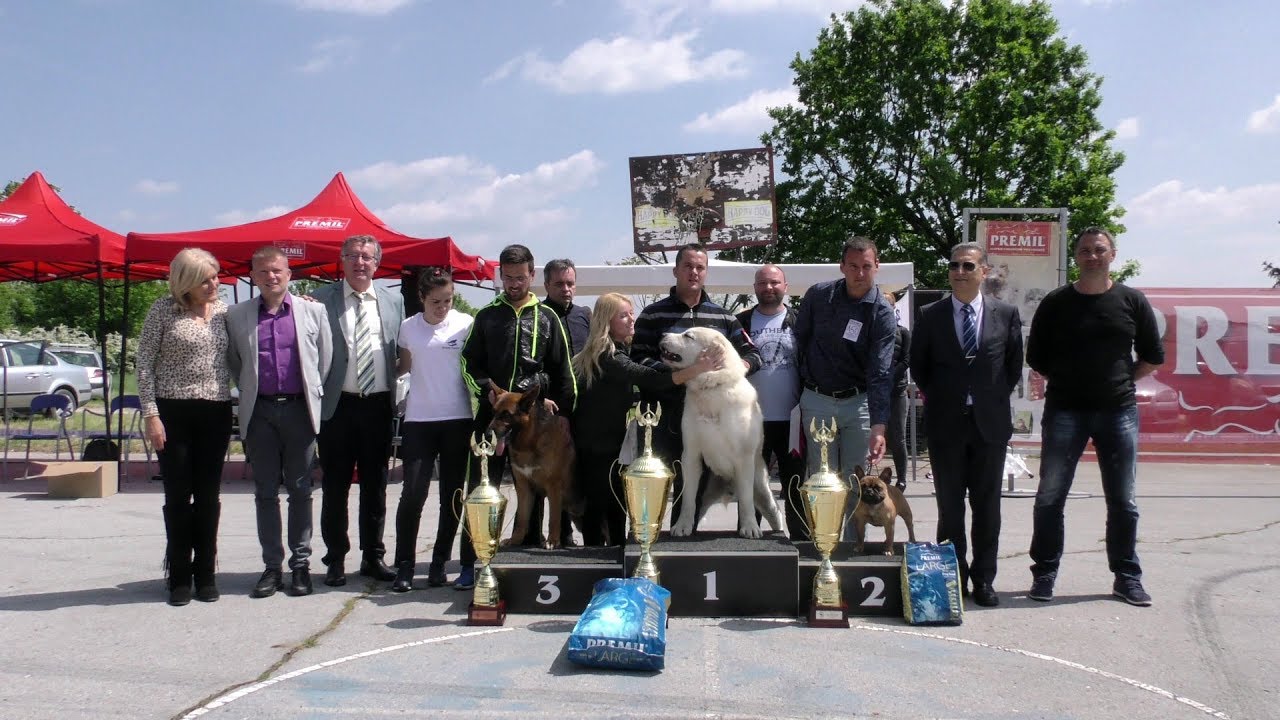 CAC STARI BANOVCI 2019.