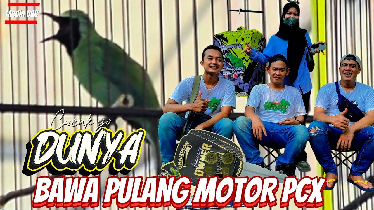 DOA ISTRI BIKIN HOKI‼️CUCAK IJO DUNYA BAWA PULANG MOTOR PCX (Gus dodi kembang wesi) 