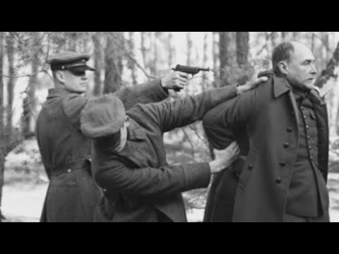 \"ქართული ოცნების\" 1937 - რუსული კანონი 2023 წელს და პარალელი სტალინურ რეპრესიებთან