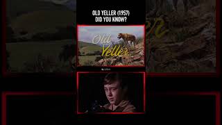 Did You Know This About The Death Of Old Yeller In Old Yeller 1957?