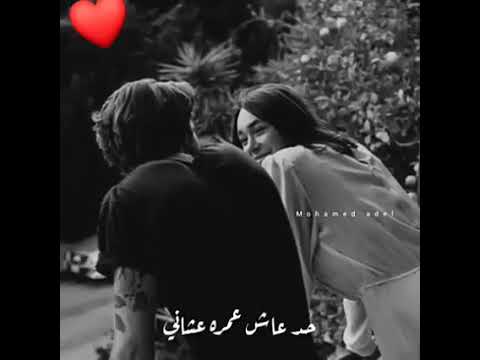 بيت كبير حالات وتس 2021
