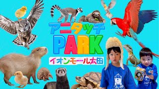 新形態newオープン⭐︎アニタッチPARKイオンモール太田/ふれあい動物園/アミューズメント施設が融合