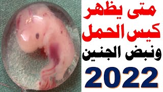 متى يظهر الحمل في السونار | متى يظهر الجنين | متى يظهر نبض الجنين دكتور يوسف عيد DR YUSSIF EID 2022