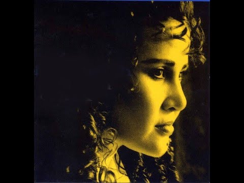 Elvy Sukaesih  -  Jangan Kau Pergi