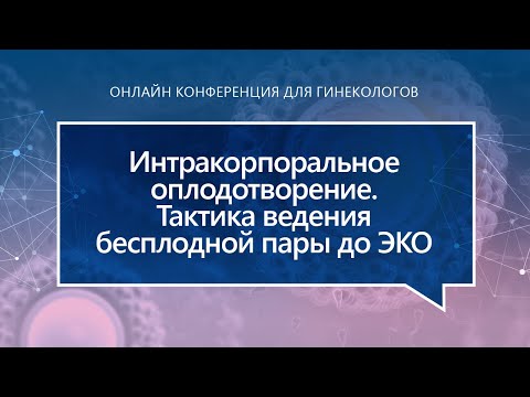 Колода Ю.А.  «Интракорпоральное оплодотворение: тактика ведения бесплодной пары до ЭКО»