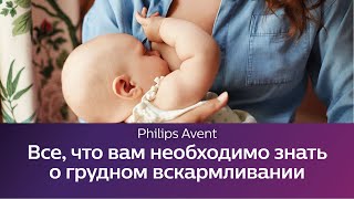 Все, что вам необходимо знать о грудном вскармливании. Школа Philips Avent.