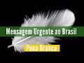 Alerta do Mestre Pena Branca ao Brasil