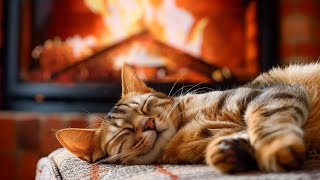 Cozy Fireplace And Cat 4K | Relaxing Purr Sound for Deep Sleep, Healing Insomnia