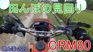 バイクで田んぼの水回り　田んぼ・2020　CRM80 20200807