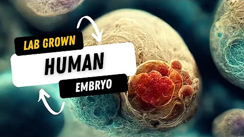 Synthetic human embryos created in lab a groundbreaking advance