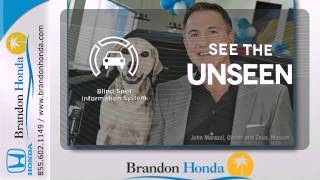 2011 Dodge Durango Tampa Brandon, FL #A085126A