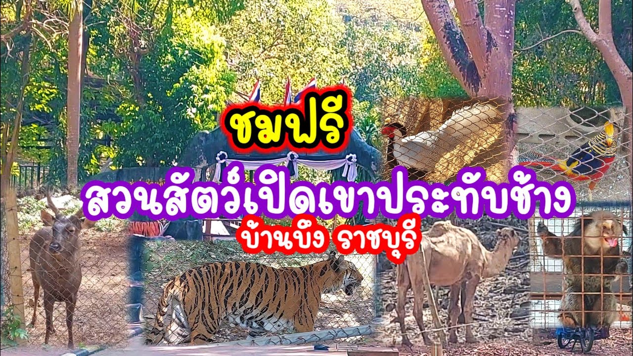 สวนสัตว์เปิดเขาประทับช้าง ราชบุรี เข้าฟรีไม่เสียตัง