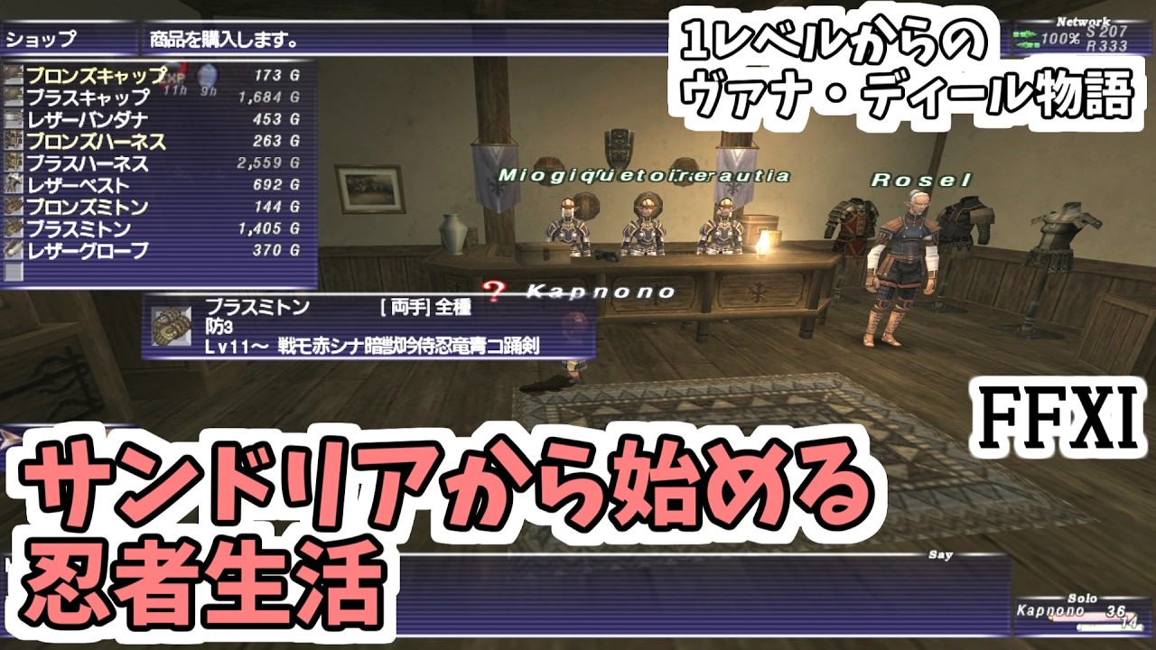 FF11] My Ninja Life Starting from San d'Oria: A Vana'diel Story