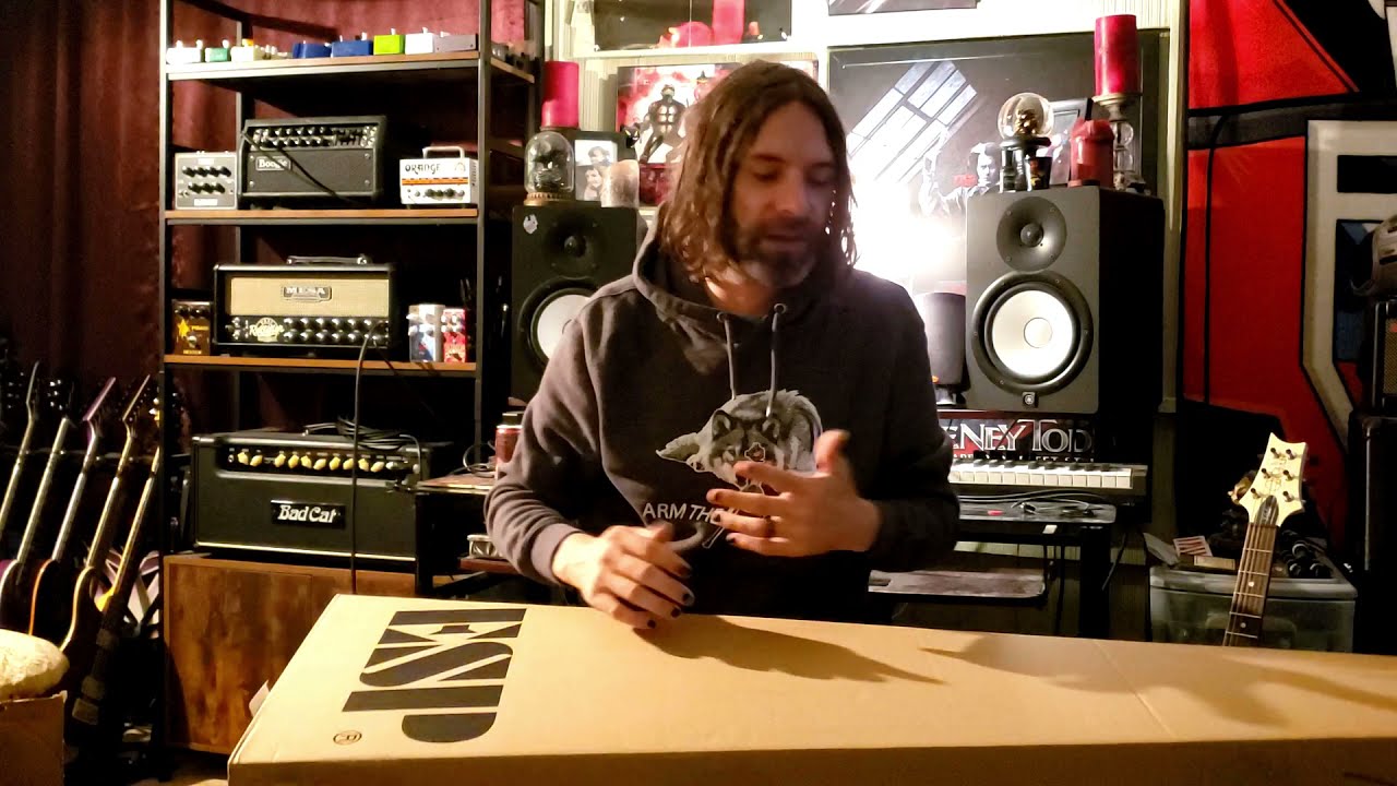 LTD AP-204 Purple Bass Unboxing