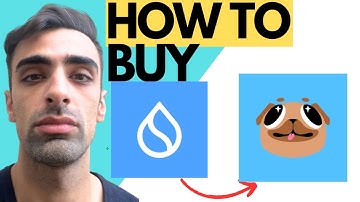 How To Buy SUI Meme Coins In 2024 (EASY)