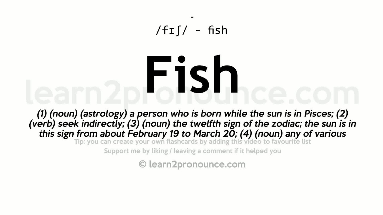 Những Màn Phiêu Lưu Hấp Dẫn Cùng Fish & Chips Cartoon