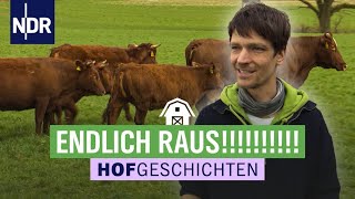 Das Vieh kommt im Harz auf die Weide | Hofgeschichten: Leben auf dem Land (224) | NDR