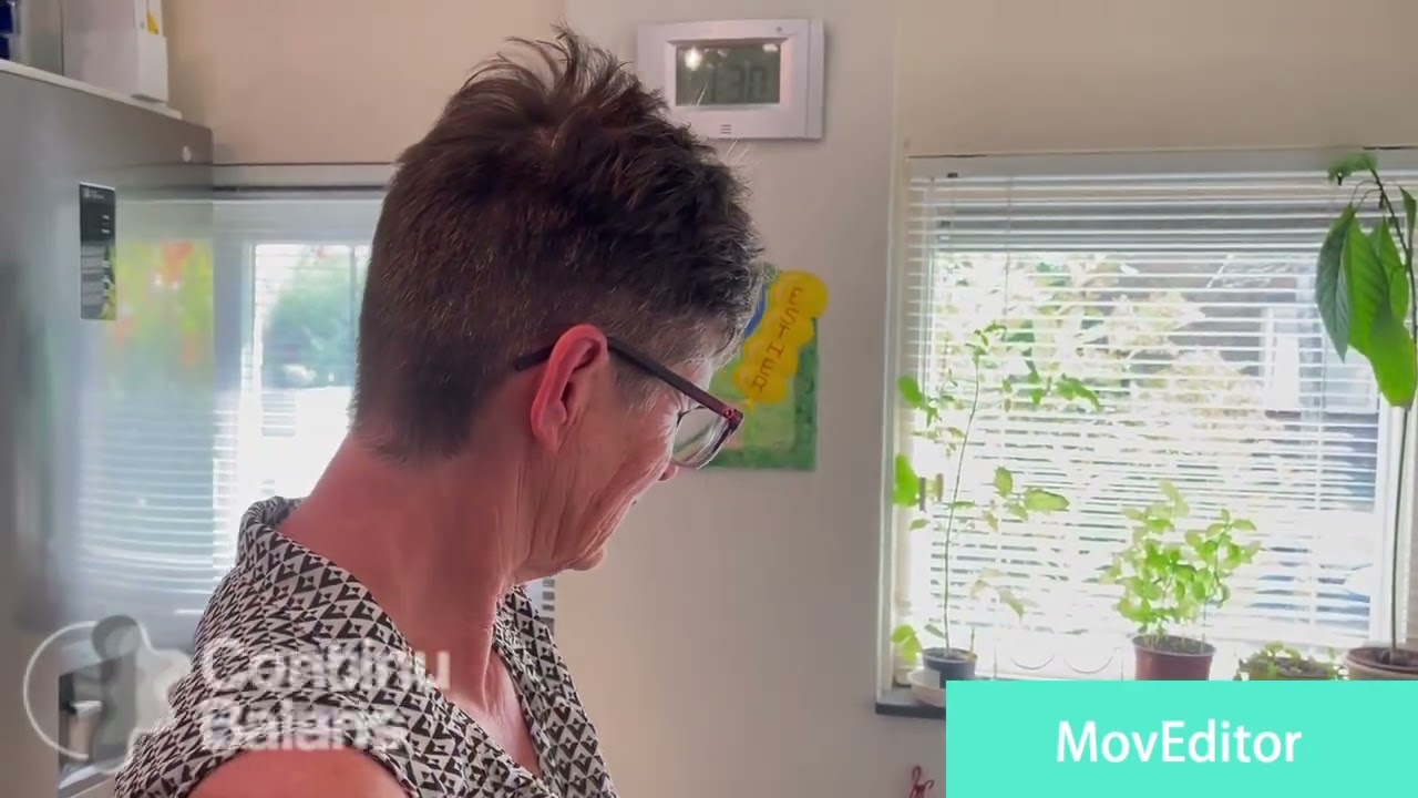 Lijnzaadmelk maken zonder weken