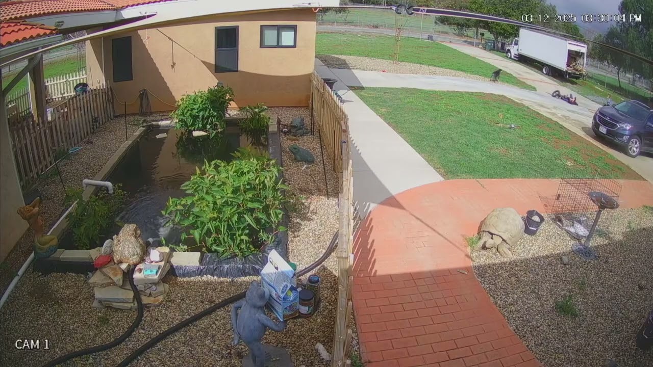 Boy rides electric bike down driveway and crashes into dog passing by (Security camera)