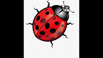 Bright Memory Infinite: Out of Bounds Edition.