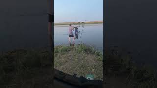 Пруд «Взлетный». Саратовская обл #саратов #рыбалка #fishingvideo #fishingvideo #карп