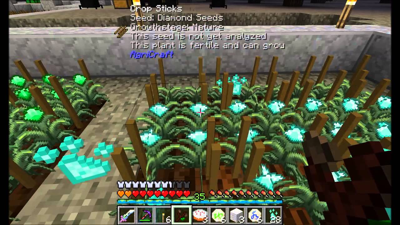 direwolf20 regrowth direwolf20 regrowth