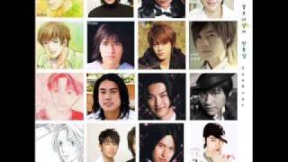 SS501-Because I'm Stupid BBF OST   lyrics