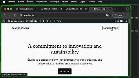 wordpress wp-cli tunnel