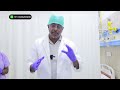 Tube Promedon Malleable Penile Implant | Day 1 Post-Op Best Results