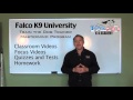 Train the Dog Trainer Mastermind Program - Falco K9 Train the Dog Trainer Mastermind Program - Falco K9