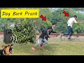 Fake dog bark prank on public  so funny reaction in public  dog barking prank run  5g prank