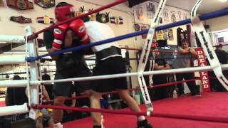 Mauricio Zavaleta sparring 05/05/2016 dreamland boxing gym s.j